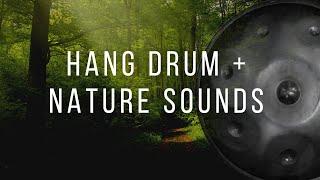 10 hours of Relaxing Hang Drum Music with sounds of nature