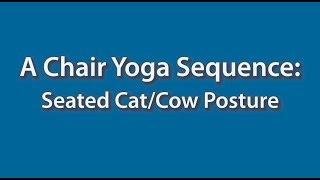 A Chair Yoga Sequence: Seated Cat/Cow Posture
