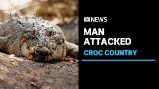 Croc attack prompts authorities to close popular waterfall | ABC News