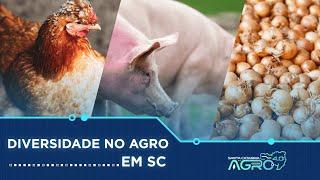 Diversidade do Agro em Santa Catarina| Canal Rural