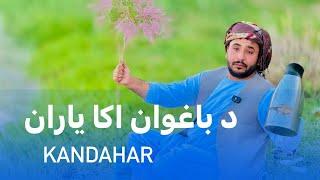 Ep120 | Menafal Show | Kandahar city | د باغوان اکا یاران | شاه ولیکوټ ولسوالۍ | کندهار ښار #viral