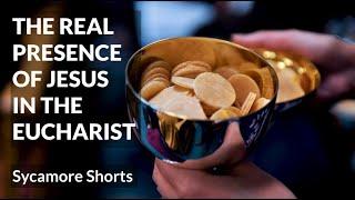 [15B] The Real Presence of Jesus in the Eucharist