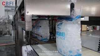 Automatic Ice Packing Machine Introduction