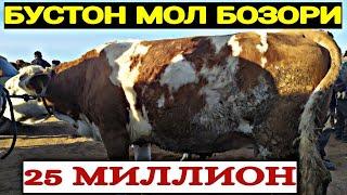 11.03.2021 БУСТОН МОЛ БОЗОР НАРХЛАРИ| 11.03.2021 BO'STON MOL BOZOR NARXLARI