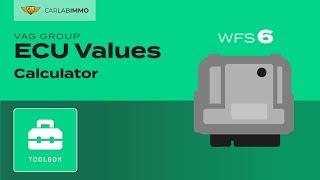 ECU Values (VAG Group WFS6) Read VIN1/VIN2/MAC/POWER CLASS/FAZIT | Immo Bypass Toolbox | CarLabImmo