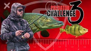 EVERY CAST COUNTS: Catch Perch and Pike from a New Venue with ZERO practice! Predator Challenge 3