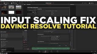 Fix XML Input Scaling Problem - Davinci Resolve Tutorial