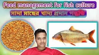 Feed management for fish culture ।।। সাদা মাছের খাদ্য প্রদান পদ্ধতি ।।।