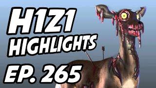 H1Z1 Daily Highlights | Ep. 265 | GrimmyBear, SandyRavage, Symfuhny, ErycTriceps, MadamLegend