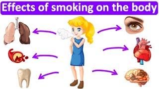 What are the effects of smoking on the body?  | Easy Science lesson