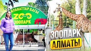  Прогулка по Алматинскому Зоопарку | Центральный Парк в Алматы | Зелёный рынок, цены на продукты