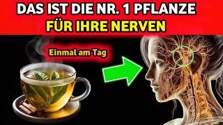 Neuropathie Adé: Die Nr. 1 Pflanze zur sofortigen Nervenreparatur!