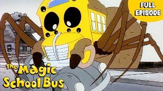 Spins a Web | Halloween Full Episode | The Magic School Bus