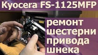 Kyocera FS-1125 — восстановление шестерни привода шнека блока проявки