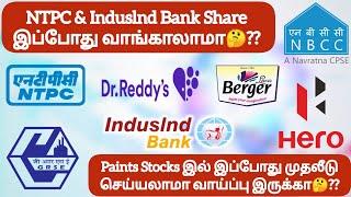 NTPC & Induslnd Bank Share இப்போது வாங்காலாமாPaints Stocks இல் இப்போது முதலீடு செய்யலாமா 