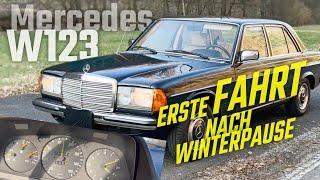 Mercedes w123 200D (1983) erster Start nach Winterpause - Cold Start after Winter Diesel-SOUND #w123