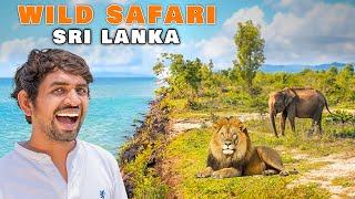 Sri Lanka Mein Jungle Safari - Vlog Day 3