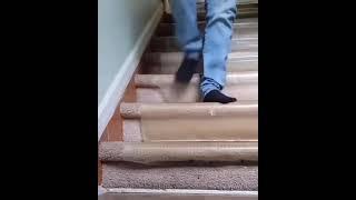 How to fell up the stairs! #shorts