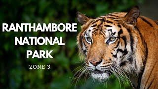 Ranthambore Tiger Safari - Zone 3 | Tiger Safari | National Park | Best zone of ranthambore | Zone 3