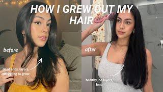 5 reasons why your hair is NOT growing! (hair training, slick back buns, & more??)