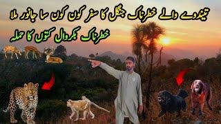 Jangle Ka Khatrnak  Safar Village Life Daily Routine MB Vlogs