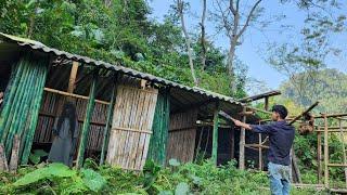 Homeless boy harvests vegetables and fruits to sell and discovers terrifying abandoned house