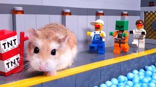 Major HAMSTER fights ZOMBIES in LEGO MINECRAFT VIRUS LAB