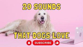 20 Sounds that Dogs Love