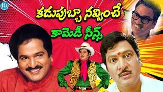 కడుపుబ్బా నవ్వించే కామెడీ సీన్స్ : Rajendra Prasad Best Comedy Scenes | iDream Eluru