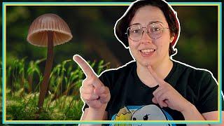 How to sculpt a mushroom ring holder with UB Draws