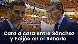 Cara a cara entre Sánchez y Feijóo en el Senado para contrastar sus planes anticrisis (18/10/2022)