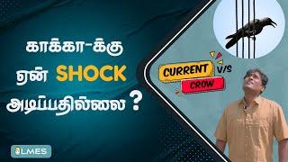 Why don't electric wires shock birds? | Tamil | Electrical Resistance | LMES