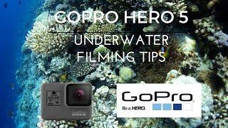 Underwater Tips | GoPro Hero 5