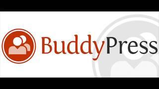 How to Use BuddyPress with WordPress | BuddyPress Plugin Introduction