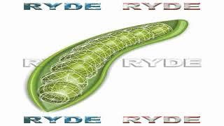 RYDE IMAGING VIDEO MICROENCODING CIRCUIT