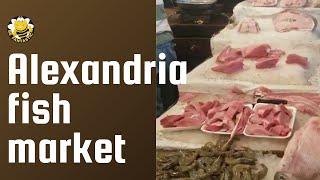 Alexandria fish market