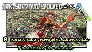 ARK: Survival Evolved - The Center "В поисках птеродактиля. Тамление на кашах"#5