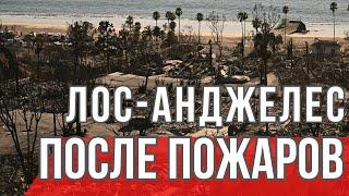 ПОЖАРЫ В ЛОС-АНДЖЕЛЕСЕ: начало восстановления. Обзор от Риелтора в Лос-Анджелесе.