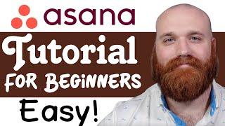 Asana Tutorial For Beginners | How To Use Asana