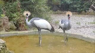 zoo parco Palermo sicily | vlog tour part 1 #zoopark