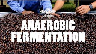 Anaerobic Fermentation