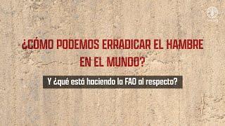 ¿Qué es la FAO?