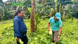 Gumanda ang Buhay! Dating Bus Conductor, Pinili maging Farmer kahit Walang Alam sa Farming!