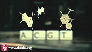 3D Animations - DNA molecule- DNA has Four Units -- Dolan DNA Learning Center.flv