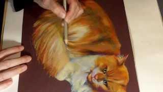 Speed Painting -  Eine Katze zeichnen    Drawing a Cat with Colored Pencils