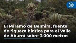 El Páramo de Belmira, fuente de riqueza hídrica para el Valle de Aburrá sobre 3.000 metros de altura