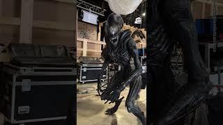 This ‘Alien: Romulus’ Animatronic Is Just as Scary IRL