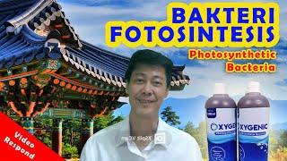 Bakteri Fotosintesis / Photosynthetic Bacteria