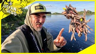 Mit WURM 🪱 und WHALY am Fluss in Deutschland | Werde ich Fangen