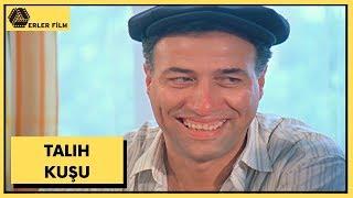 Talih Kuşu | Kemal Sunal, Yasemin Yalçın | Türk Filmi | Full HD